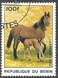 Caballos