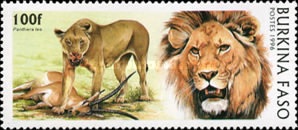 Felinos