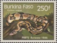Reptiles, batracios y anfibios