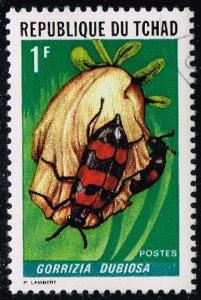 Insectos
