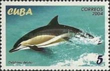 Cetaceos y mamiferos acuaticos