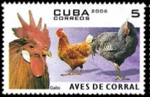Cuba #4587 2006