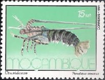 Crustaceos y moluscos