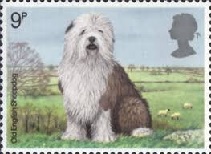 Perros
