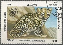 Afghanistan #1175 1985 "Cachorro de leopardo"