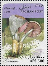 Afghanistan M#AF1671  1996