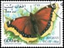 Afghanistan M#AF1799  1998