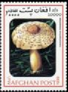 Afghanistan Mi  AF 1842  1999
