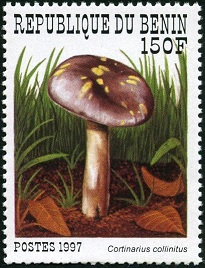 Benin  #1030  1997