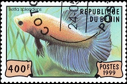 Benin  #1153  1999Benin  #1153  1999