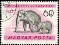 Hungary #1349  1961