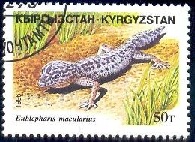 KYRGYZSTAN  #101  1995