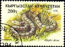 KYRGYZSTAN  #104  1995