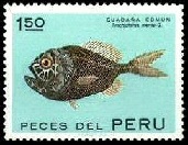 PERU #575  1972