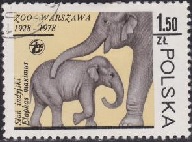 Polonia #2303  1978
