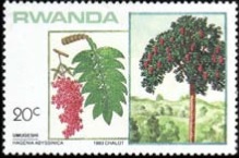 Ruanda  #1167  1984
