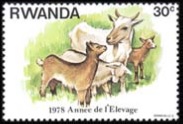 Ruanda  #898  1978