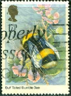 Gran Bretaña #1098  1985