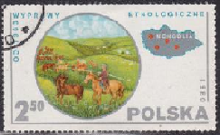 Polonia #2392  1980