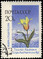 Rusia #2409  1960