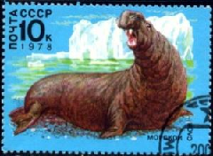 Rusia #4683  1978