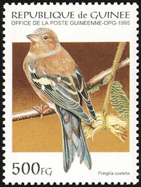 Guinea #1271  1995