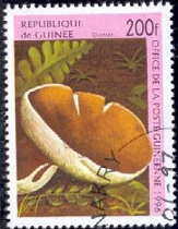Guinea #1347  1996