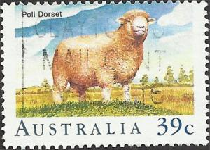 AUSTRALIA #1137 1989