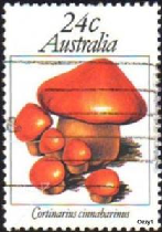AUSTRALIA #806 1981