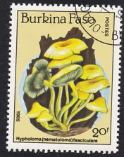 Burkina Faso #744  1985