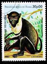 Guinea-Bisáu #463  1983