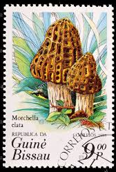 Guinea-Bisáu #635b  1985