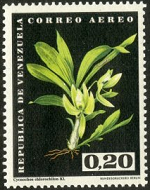 Venezuela #C795 1962