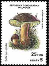 Madagascar  #1001C  Y1990