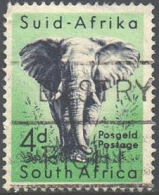 Sudáfrica #205 1954