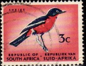 Sudáfrica #259 1961  "Alcaudón pechirrojo"