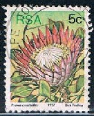 Sudáfrica #479 1977
