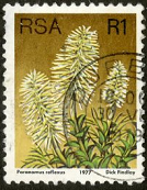 Sudáfrica #490 1977