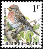 Belgica #  1432  1992  "Redpoll común"