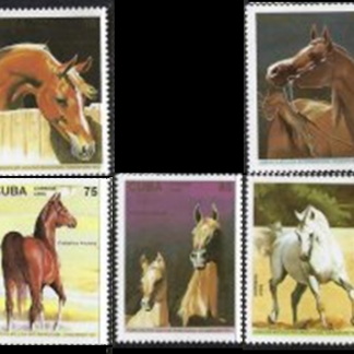 Cuba #3657  -  3662   1995  Serie incompleta falta #3658