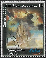 Cuba #4111 2000