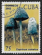 Cuba #4231  2002