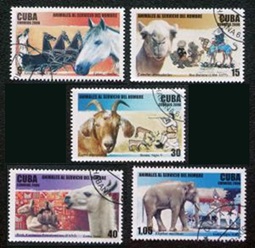Cuba #4641 - 4144 y #4646  2006 "Animales domesticados"