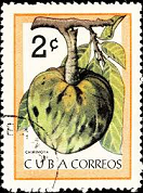 Cuba #802  1963