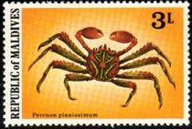 Maldivas  #760  1978