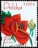 Polonia #3786  2005