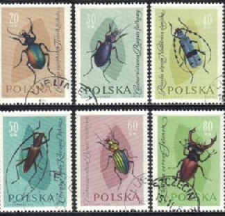 Polonia #1029 - 1034   1961  Serie completa. Usadas
