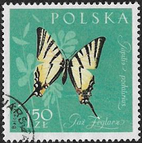 Polonia #1037  1961