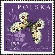 Polonia #1038  1961