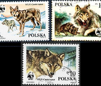 Polonia #2678 - 2680   1985